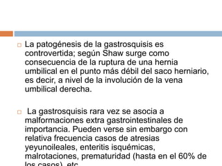  La patogénesis de la gastrosquisis es 
controvertida; según Shaw surge como 
consecuencia de la ruptura de una hernia 
umbilical en el punto más débil del saco herniario, 
es decir, a nivel de la involución de la vena 
umbilical derecha. 
 La gastrosquisis rara vez se asocia a 
malformaciones extra gastrointestinales de 
importancia. Pueden verse sin embargo con 
relativa frecuencia casos de atresias 
yeyunoileales, enteritis isquémicas, 
malrotaciones, prematuridad (hasta en el 60% de 
los casos), etc. 
 