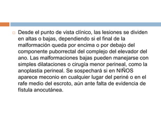  Desde el punto de vista clínico, las lesiones se dividen 
en altas o bajas, dependiendo si el final de la 
malformación queda por encima o por debajo del 
componente puborrectal del complejo del elevador del 
ano. Las malformaciones bajas pueden manejarse con 
simples dilataciones o cirugía menor perineal, como la 
anoplastia perineal. Se sospechará si en NIÑOS 
aparece meconio en cualquier lugar del periné o en el 
rafe medio del escroto, aún ante falta de evidencia de 
fístula anocutánea. 
 