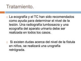 Tratamiento. 
 La ecografía y el TC han sido recomendados 
como ayuda para determinar el nivel de la 
lesión. Una radiografía lumbosacra y una 
ecografía del aparato urinario debe ser 
realizada en todos los casos. 
 Si existen dudas acerca del nivel de la fístula 
en niños, se realizará una urografía 
retrógrada. 
