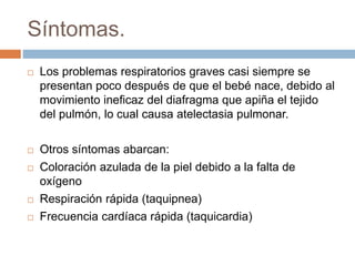 Síntomas. 
 Los problemas respiratorios graves casi siempre se 
presentan poco después de que el bebé nace, debido al 
movimiento ineficaz del diafragma que apiña el tejido 
del pulmón, lo cual causa atelectasia pulmonar. 
 Otros síntomas abarcan: 
 Coloración azulada de la piel debido a la falta de 
oxígeno 
 Respiración rápida (taquipnea) 
 Frecuencia cardíaca rápida (taquicardia) 
 