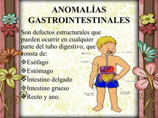 ANOMALÍAS
GASTROINTESTINALES
Son defectos estructurales que
pueden ocurrir en cualquier
parte del tubo digestivo, que
consta de:
Esófago
Estómago
Intestino delgado
Intestino grueso
Recto y ano.
 
