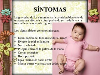 SÍNTOMAS
La gravedad de los síntomas varia considerablemente de
una persona afectada a otra, pudiendo ser la deficiencia
mental leve, moderada o grave.
Los signos físicos comunes abarcan:
 Disminución del tono muscular al nacer
 Exceso de piel en la nuca
 Nariz achatada
 Pliegue único en la palma de la mano
 Orejas pequeñas
 Boca pequeña
 Ojos inclinados hacia arriba
 Manos cortas y anchas con dedos cortos
 