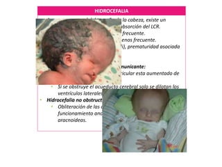 HIDROCEFALIA
• Aumento anormal del tamaño de la cabeza, existe un
desequilibrio entre producción y absorción del LCR.
• Estenosis acueductal congénita-> frecuente.
• Adenoma del plexo coroideo -> menos frecuente.
• Infecciones fetales (CMV, T. Gondii), prematuridad asociada
a hemorragia intraventricular.
• Hidrocefalia obstructiva o no comunicante:
• Parte o todo el sistema ventricular esta aumentado de
tamaño.
• Si se obstruye el acueducto cerebral solo se dilatan los
ventrículos laterales y 3er v.
• Hidrocefalia no obstructiva o comunicante:
• Obliteración de las cisternas subaracnoideas o
funcionamiento anormal de las vellosidades
aracnoideas.
 