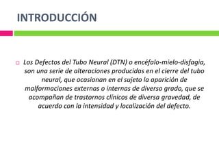 INTRODUCCIÓN
 Los Defectos del Tubo Neural (DTN) o encéfalo-mielo-disfagia,
son una serie de alteraciones producidas en el cierre del tubo
neural, que ocasionan en el sujeto la aparición de
malformaciones externas o internas de diverso grado, que se
acompañan de trastornos clínicos de diversa gravedad, de
acuerdo con la intensidad y localización del defecto.
 