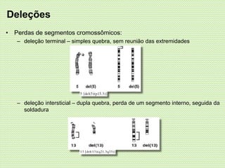 Deleções
• Perdas de segmentos cromossômicos:
– deleção terminal – simples quebra, sem reunião das extremidades
– deleção intersticial – dupla quebra, perda de um segmento interno, seguida da
soldadura
 