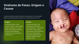 Síndrome de Patau: Origem e
Causas
A síndrome de Patau, também conhecida como trissomia 13, é uma condição
genética caracterizada pela presença de um cromossomo extra no par 13.
Origem
A síndrome de Patau, como a
síndrome de Down, é uma condição
genética causada por um erro na
divisão celular durante a formação
do óvulo ou espermatozóide,
resultando em uma cópia extra do
cromossomo 13.
Causas
A síndrome de Patau é uma
condição rara, ocorrendo em
aproximadamente 1 a cada 10.000
nascimentos. A causa exata é
desconhecida, mas é possível que
fatores como idade materna
avançada e exposição a certos
agentes ambientais possam
aumentar o risco.
 