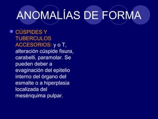 ANOMALÍAS DE FORMA
CÚSPIDES Y
TUBERCULOS
ACCESORIOS: y o T,
alteración cúspide fisura,
carabelli, paramolar. Se
pueden deber a
evaginación del epitelio
interno del órgano del
esmalte o a hiperplasia
localizada del
mesénquima pulpar.
 