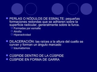 PERLAS O NÓDULOS DE ESMALTE: pequeñas
formaciones redondas que se adhieren sobre la
superficie radicular, generalmente sobre la furca.
 Formadas por esmalte
 Atrofia
 Hiperactividad
DILACERACIÓN: las raíces a la altura del cuello se
curvan y forman un ángulo marcado
 traumatismos
CÚSPIDE DENTRO DE LA CÚSPIDE
CÚSPIDE EN FORMA DE GARRA
 