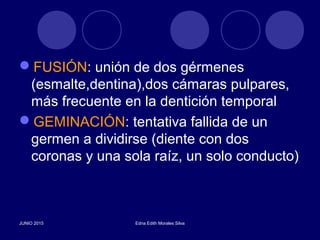 FUSIÓN: unión de dos gérmenes
(esmalte,dentina),dos cámaras pulpares,
más frecuente en la dentición temporal
GEMINACIÓN: tentativa fallida de un
germen a dividirse (diente con dos
coronas y una sola raíz, un solo conducto)
JUNIO 2015 Edna Edith Morales Silva
 