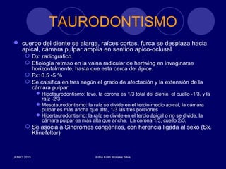 TAURODONTISMO
 cuerpo del diente se alarga, raíces cortas, furca se desplaza hacia
apical, cámara pulpar amplia en sentido apico-oclusal
 Dx: radiográfico
 Etiología retraso en la vaina radicular de hertwing en invaginarse
horizontalmente, hasta que esta cerca del ápice.
 Fx: 0.5 -5 %
 Se calsifica en tres según el grado de afectación y la extensión de la
cámara pulpar:
Hipotaurodontismo: leve, la corona es 1/3 total del diente, el cuello -1/3, y la
raíz -2/3
Mesotaurodontismo: la raíz se divide en el tercio medio apical, la cámara
pulpar es más ancha que alta, 1/3 las tres porciones
Hipertaurodontismo: la raíz se divide en el tercio ápical o no se divide, la
cámara pulpar es más alta que ancha. La corona 1/3, cuello 2/3.
 Se asocia a Síndromes congénitos, con herencia ligada al sexo (Sx.
Klinefelter)
JUNIO 2015 Edna Edith Morales Silva
 