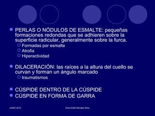 PERLAS O NÓDULOS DE ESMALTE: pequeñas
formaciones redondas que se adhieren sobre la
superficie radicular, generalmente sobre la furca.
 Formadas por esmalte
 Atrofia
 Hiperactividad
DILACERACIÓN: las raíces a la altura del cuello se
curvan y forman un ángulo marcado
 traumatismos
CÚSPIDE DENTRO DE LA CÚSPIDE
CÚSPIDE EN FORMA DE GARRA
JUNIO 2015 Edna Edith Morales Silva
 