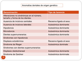 18
Anomalías dentales de origen genético
Denominación Tipo de herencia
Alteraciones no sindrónicas en el número,
tamaño y forma de los dientes.
Ausencia de incisivos centrales Recesiva ligada al sexo.
Ausencia de incisivos laterales Autosómica dominante
Hipodoncia Autosómica dominante
Microdoncia Autosómica dominante
Dientes supernumerarios Autosómica dominante
Síndromes con hipodoncia
Displasia ectodérmica Recesiva ligada al sexo
Síndrome de Rieger Autosómica dominate
Síndromes con dientes supernumerarios
Displasia cleidoclraneal Autosómica dominante
Síndrome de Gardner Autosómica dominnate
 