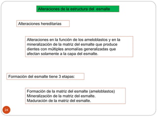 Alteraciones hereditarias
Alteraciones en la función de los ameloblastos y en la
mineralización de la matriz del esmalte que produce
dientes con múltiples anomalías generalizadas que
afectan solamente a la capa del esmalte.
Formación del esmalte tiene 3 etapas:
Formación de la matriz del esmalte (ameloblastos)
Mineralización de la matriz del esmalte.
Maduración de la matriz del esmalte.
Alteraciones de la estructura del esmalte
24
 