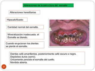 Hipocalcificado:
Alteraciones de la estructura del esmalte
Alteraciones hereditarias
Cuando erupcionan los dientes
se pierde el esmalte.
Dientes café amarillentos, posteriormente café oscuro o negro.
Depósitos duros (sarro).
Únicamente persiste el esmalte del cuello.
Mordida abierta.
27
Cantidad normal del esmalte.
Mineralización inadecuada, el
Esmalte es blando.
 