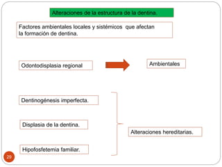 Alteraciones de la estructura de la dentina.
Alteraciones hereditarias.
Factores ambientales locales y sistémicos que afectan
la formación de dentina.
Odontodisplasia regional Ambientales
Hipofosfetemia familiar.
29
Dentinogénesis imperfecta.
Displasia de la dentina.
 