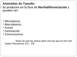 Anomalías de Tamaño
 Se producen en la fase de Morfodiferenciación y
  pueden ser:


     Microdoncia
     Macrodoncia:
     Fusión
     Geminación
     Concrescencia


    
 
        Estas no son las únicas pero son las que se ven con
      mayor frecuencia: 0.2 – 2%.
 
 