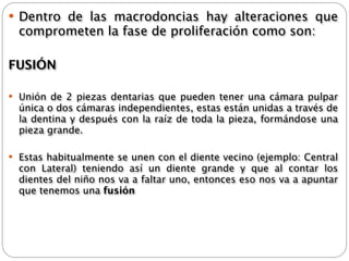  Dentro de las macrodoncias hay alteraciones que
  comprometen la fase de proliferación como son:

FUSIÓN

 Unión de 2 piezas dentarias que pueden tener una cámara pulpar
  única o dos cámaras independientes, estas están unidas a través de
  la dentina y después con la raíz de toda la pieza, formándose una
  pieza grande.

 Estas habitualmente se unen con el diente vecino (ejemplo: Central
  con Lateral) teniendo así un diente grande y que al contar los
  dientes del niño nos va a faltar uno, entonces eso nos va a apuntar
  que tenemos una fusión
 