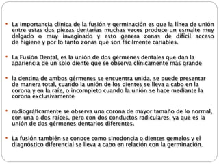 La importancia clínica de la fusión y germinación es que la línea de unión
  entre estas dos piezas dentarias muchas veces produce un esmalte muy
  delgado o muy invaginado y esto genera zonas de difícil acceso
  de higiene y por lo tanto zonas que son fácilmente cariables.

 La Fusión Dental, es la unión de dos gérmenes dentales que dan la
  apariencia de un solo diente que se observa clínicamente más grande

 la dentina de ambos gérmenes se encuentra unida, se puede presentar
  de manera total, cuando la unión de los dientes se lleva a cabo en la
  corona y en la raíz, o incompleto cuando la unión se hace mediante la
  corona exclusivamente

 radiográﬁcamente se observa una corona de mayor tamaño de lo normal,
  con una o dos raíces, pero con dos conductos radiculares, ya que es la
  unión de dos gérmenes dentarios diferentes.

 La fusión también se conoce como sinodoncia o dientes gemelos y el
  diagnóstico diferencial se lleva a cabo en relación con la germinación.
 