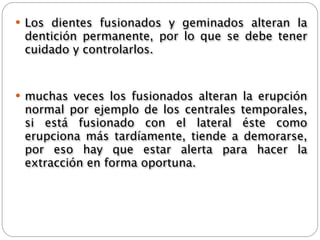  Los dientes fusionados y geminados alteran la
 dentición permanente, por lo que se debe tener
 cuidado y controlarlos.


 muchas veces los fusionados alteran la erupción
 normal por ejemplo de los centrales temporales,
 si está fusionado con el lateral éste como
 erupciona más tardíamente, tiende a demorarse,
 por eso hay que estar alerta para hacer la
 extracción en forma oportuna.
 