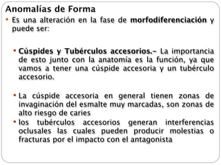 Anomalías de Forma
 Es una alteración en la fase de morfodiferenciación y
 puede ser:

   Cúspides y Tubérculos accesorios.- La importancia
   de esto junto con la anatomía es la función, ya que
   vamos a tener una cúspide accesoria y un tubérculo
   accesorio.

   La cúspide accesoria en general tienen zonas de
    invaginación del esmalte muy marcadas, son zonas de
    alto riesgo de caries
   los tubérculos accesorios generan interferencias
    oclusales las cuales pueden producir molestias o
    fracturas por el impacto con el antagonista
 