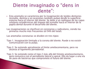  Esta anomalía se caracteriza por la invaginación de tejidos dentarios
(esmalte, dentina y en ocasiones también pulpa) desde la superficie
externa hacia el interior del diente. Se debe a un repliegue de las capas
celulares ectodérmicas del órgano del esmalte hacia el interior de la
papila dental durante el desarrollo del diente.
Las invaginaciones se clasifican en coronarias y radiculares, siendo las
primeras mucho más frecuentes (el 94% del total).
Las anomalías coronarias se dividen en tres tipos:
Tipo 1. Invaginación limitada a la corona del diente. Puede o no existir
comunicación con la pulpa.
Tipo 2. Se extiende apicalmente al límite amelocementario, pero no
alcanza al ligamento periodontal.
Tipo 3. Se extiende como el tipo 2 más allá del límiete amelocementario,
pero comunica con el periodonto lateral o apical. Ello da lugar a una vía
de paso de bacterias que compromete el futuro del diente.
 