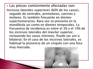  Las piezas comúnmente afectadas son:
Incisivos laterales superiores (60% de los casos),
seguido de centrales, premolares, caninos y
molares. Es también frecuente en dientes
supernumerarios. Rara vez se presenta en la
mandíbula así como en dientes temporales. La
frecuencia de incidencia es entre el 3% y el 10% de
los incisivos laterales del maxilar superior,
incluyendo los casos mínimos. Puede ser uni o
bilateral. En el caso de los incisivos laterales, es
habitual la presencia de un cíngulo con una fosa
muy marcada.
 