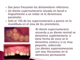 Son poco frecuente los distomolares inferiores.
 Un diente supernumerario situado en bucal o
lingualmente a un molar se le denomiana
paramolar.
 Solo el 10% de los supernumerario a parece en la
mandíbula en el área de los premolares.
•El diente supernumerario
recuerda a un diente normal se
denomina suplementario, si
tiene forma de cono se le
denomina conico y si es muy
pequeño, tuberculo.
Los dientes supernumerarios
son mas frecuentes en la
dentincion permanente
 