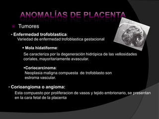    Tumores
 • Enfermedad trofoblastica:
    Variedad de enfermedad trofoblastica gestacional

        Mola hidatiforme:
...