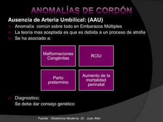 Ausencia de Arteria Umbilical: (AAU)
 Anomalía común sobre todo en Embarazos Múltiples
 La teoría mas aceptada es que es...
