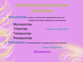 Anomalías cromosómicas
numéricas
• Aneuploidías: existe un número de cromosomas que no es
múltiplo del número haploide de cromosomas
Monosomías
Trisomías Causa: no disyunción
Tetrasomías
Pentasomías
• Poliploidías: las células tienen un juego extra de cromosomas
Causa: polispermia
Mosaicismo
 