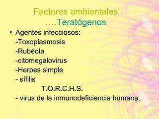 Factores ambientales
….Teratógenos
• Agentes infecciosos:
-Toxoplasmosis
-Rubéola
-citomegalovirus
-Herpes simple
- sífilis
T.O.R.C.H.S.
- virus de la inmunodeficiencia humana.
 