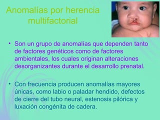 Anomalías por herencia
multifactorial
• Son un grupo de anomalías que dependen tanto
de factores genéticos como de factores
ambientales, los cuales originan alteraciones
desorganizantes durante el desarrollo prenatal.
• Con frecuencia producen anomalías mayores
únicas, como labio o paladar hendido, defectos
de cierre del tubo neural, estenosis pilórica y
luxación congénita de cadera.
 