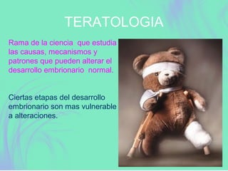TERATOLOGIA
Rama de la ciencia que estudia
las causas, mecanismos y
patrones que pueden alterar el
desarrollo embrionario normal.
Ciertas etapas del desarrollo
embrionario son mas vulnerable
a alteraciones.
 