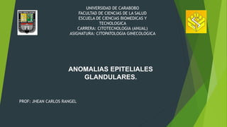 ANOMALIAS EPITELIALES
GLANDULARES.
UNIVERSIDAD DE CARABOBO
FACULTAD DE CIENCIAS DE LA SALUD
ESCUELA DE CIENCIAS BIOMEDICAS Y
TECNOLOGICA
CARRERA: CITOTECNOLOGIA (ANUAL)
ASIGNATURA: CITOPATOLOGIA GINECOLOGICA
PROF: JHEAN CARLOS RANGEL
 