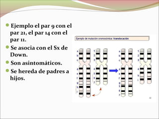 Ejemplo el par 9 con el
par 21, el par 14 con el
par 11.
Se asocia con el Sx de
Down.
Son asintomáticos.
Se hereda de padres a
hijos.
 
