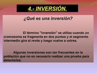 ¿Qué es una inversión?
El término "inversión" se utiliza cuando un
cromosoma se fragmenta en dos puntos y el segmento
intermedio gira al revés y luego vuelve a unirse.
Algunas inversiones son tan frecuentes en la
población que no es necesario realizar una prueba para
detectarlas.
4.- INVERSIÓN.
 