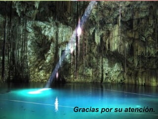 Gracias por su atención.
 