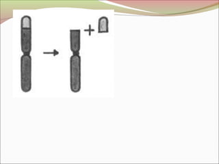 Anomalías estructurales 2013 (Embriología)