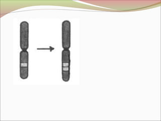 Anomalías estructurales 2013 (Embriología)