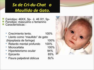Sx de Cri-du-Chat o
Maullido de Gato.
 Cariotipo: 46XX, 5p- ó 46 XY, 5p-
 Fenotipo: masculino o femenino
 Características :
 Crecimiento lento. 100%
 Llanto como “maullido” de gato
(hipoplasia de faringe) 100%
 Retardo mental profundo 100%
 Microcefalia 100%
 Hipertelorismo ocular 94%
 Epicanto 85%
 Fisura palpebral oblicua 81%
 