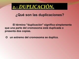 ¿Qué son las duplicaciones?
El término "duplicación" significa simplemente
que una parte del cromosoma está duplicada o
presenta dos copias.
O un extremo del cromosoma se duplica.
2.- DUPLICACIÓN.
 