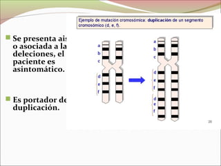  Se presenta aislada
o asociada a las
deleciones, el
paciente es
asintomático.
 Es portador de la
duplicación.
 