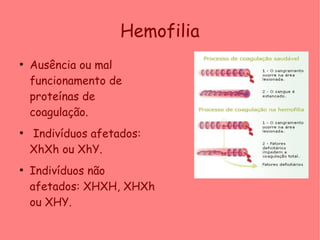Hemofilia
●
Ausência ou mal
funcionamento de
proteínas de
coagulação.
●
 Indivíduos afetados:
XhXh ou XhY.
●
Indivíduos não
afetados: XHXH, XHXh
ou XHY.
 