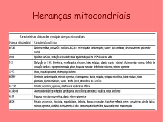 Heranças mitocondriais
 