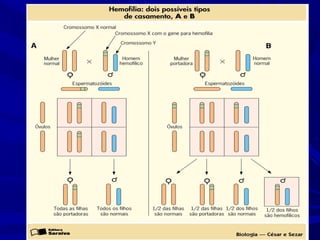 Anomalias genéticas na espécie humana
