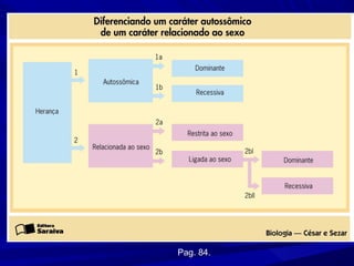Pag. 84.
 
