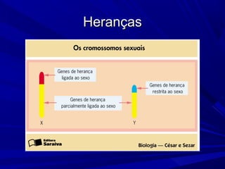 Heranças
 