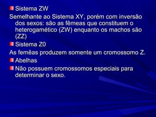 Sistema ZW
Semelhante ao Sistema XY, porém com inversão
  dos sexos: são as fêmeas que constituem o
  heterogamético (ZW) enquanto os machos são
  (ZZ)
  Sistema Z0
As femêas produzem somente um cromossomo Z.
  Abelhas
  Não possuem cromossomos especiais para
  determinar o sexo.
 