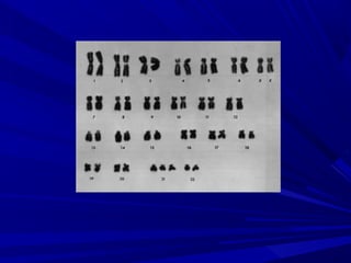 Anomalias genéticas na espécie humana