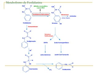 Metabolismo da Fenilalanina
 